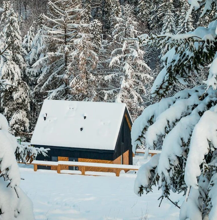 Projekt Świt - domki z sauną Beskidy - domki na wynajem w Beskidach (1)